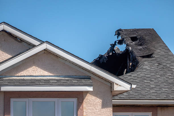 Top rated local Fire Damage Removal specialists in Inver Grove Heights, MN